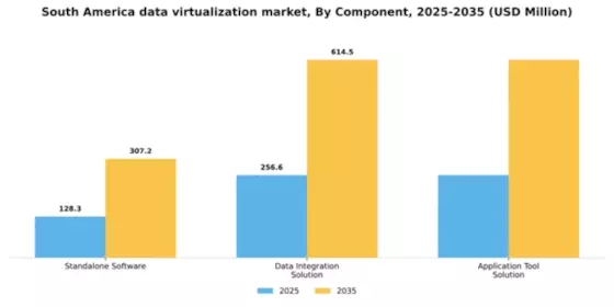South America Data Virtualization Market Segment Image 0