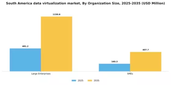 South America Data Virtualization Market Segment Image 3