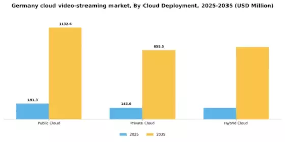 Germany Cloud Video Streaming Market Segment Image 0
