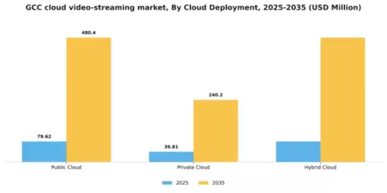 GCC Cloud Video Streaming Market Segment Image 0