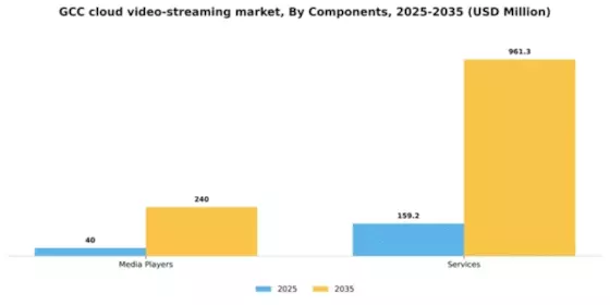 GCC Cloud Video Streaming Market Segment Image 1