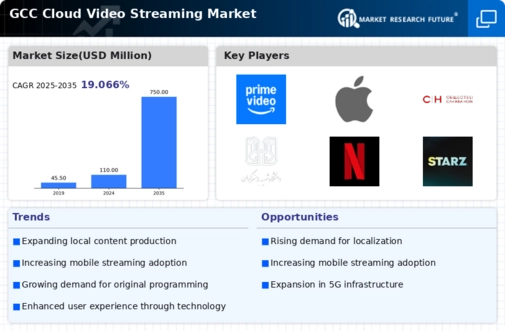 GCC Cloud Video Streaming Market Infographic
