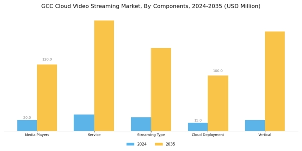 GCC Cloud Video Streaming Market Segment Image 0