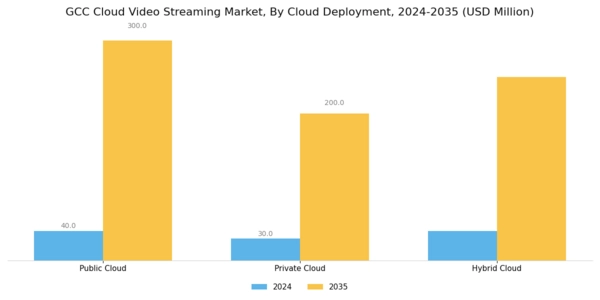 GCC Cloud Video Streaming Market Segment Image 4
