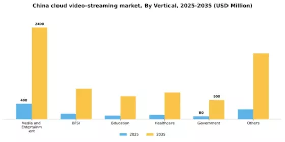 China Cloud Video Streaming Market Segment Image 3