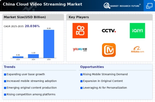 China Cloud Video Streaming Market Infographic