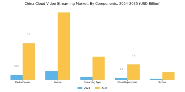 China Cloud Video Streaming Market Segment Image 0