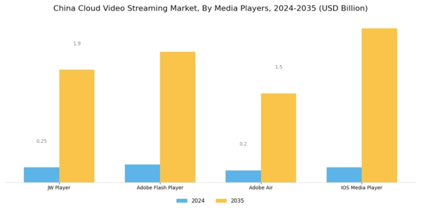 China Cloud Video Streaming Market Segment Image 1