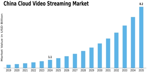 China Cloud Video Streaming Market Size