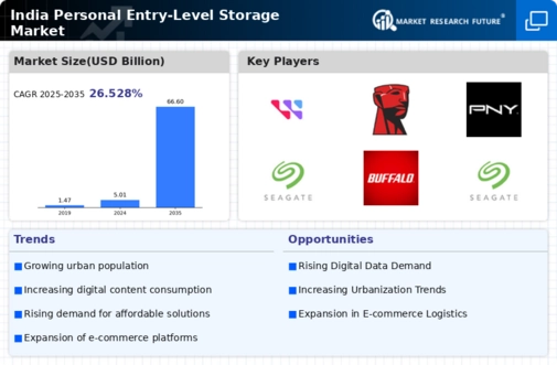 India Personal Entry Level Storage Market Infographic