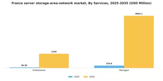 France Server Storage Area Network Market Segment Image 2