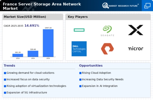 France Server Storage Area Network Market Infographic