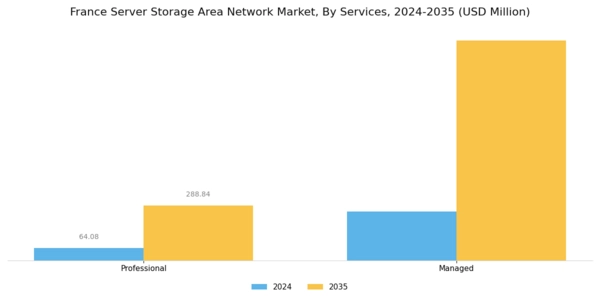 France Server Storage Area Network Market Segment Image 1