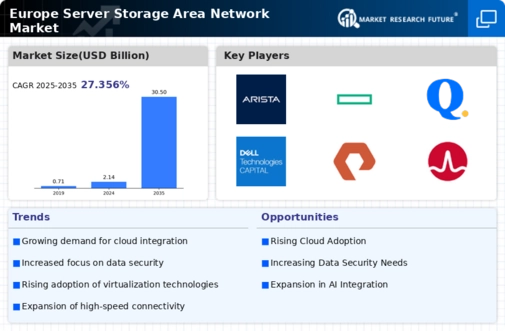 Europe Server Storage Area Network Market Infographic