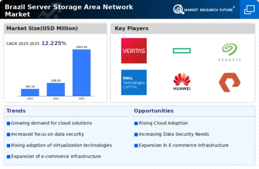 Brazil Server Storage Area Network Market Infographic