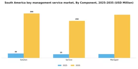 South America Key Management Service Market Segment Image 1