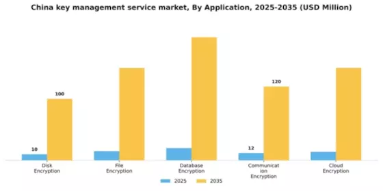 China Key Management Service Market Segment Image 0