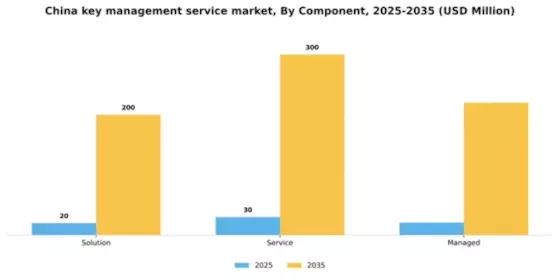 China Key Management Service Market Segment Image 1
