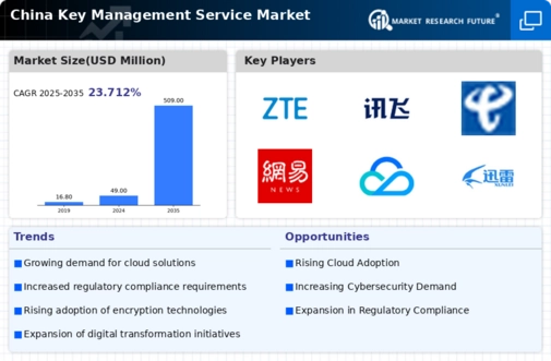 China Key Management Service Market Infographic