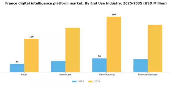 France Digital Intelligence Platform Market Segment Image 2