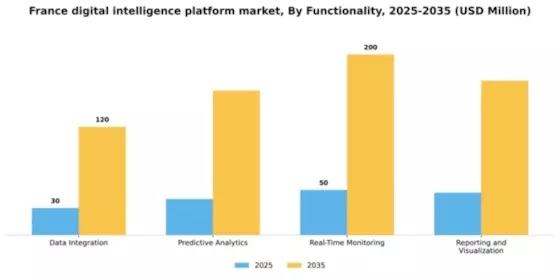 France Digital Intelligence Platform Market Segment Image 3