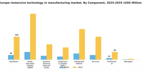 Europe Immersive Technology In Manufacturing Market Segment Image 1