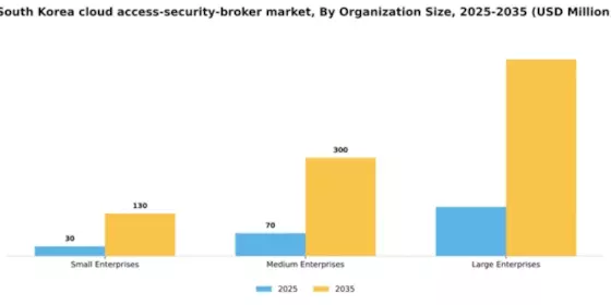 South Korea Cloud Access Security Broker Market Segment Image 3