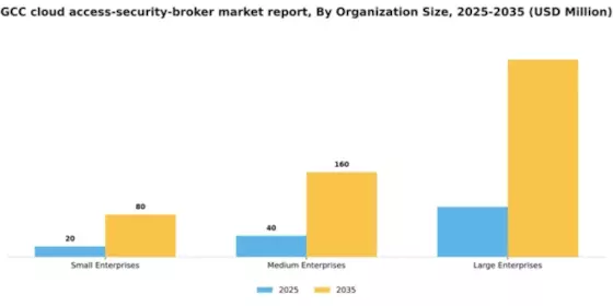 GCC Cloud Access Security Broker Market Segment Image 3