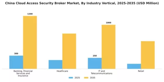 China Cloud Access Security Broker Market Segment Image 2