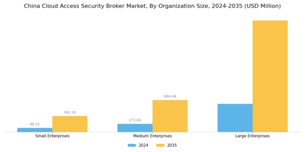 China Cloud Access Security Broker Market Segment Image 3