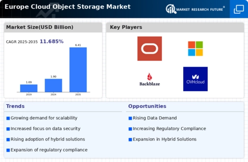 Europe Cloud Object Storage Market Infographic