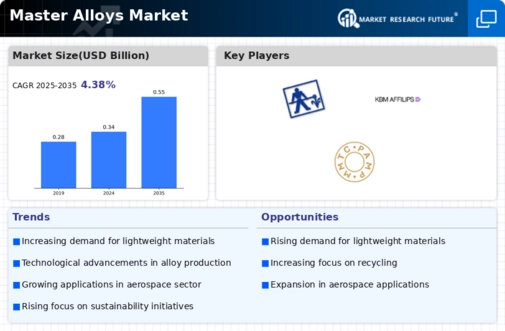 Master Alloys Market Infographic