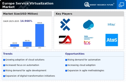 Europe Service Virtualization Market Infographic