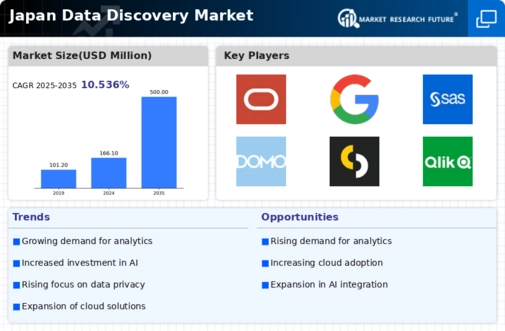 Japan Data Discovery Market Infographic