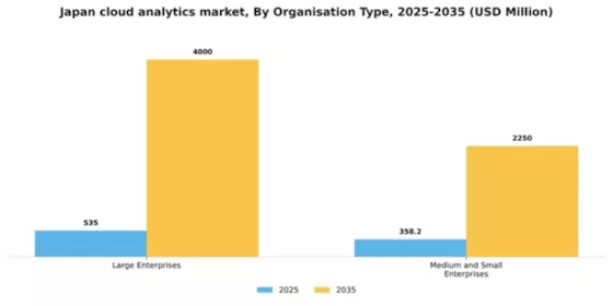 Japan Cloud Analytics Market Segment Image 2