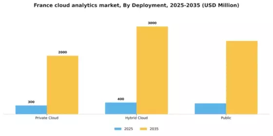 France Cloud Analytics Market Segment Image 0