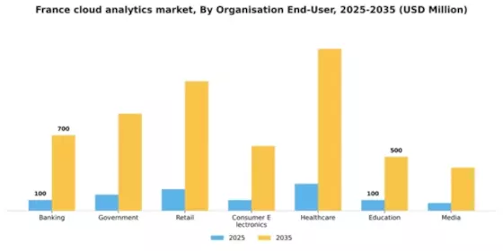 France Cloud Analytics Market Segment Image 1