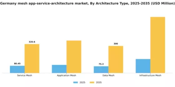 Germany Mesh App Service Architecture Market Segment Image 0