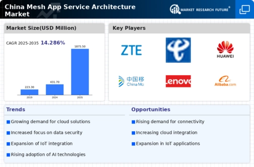 China Mesh App Service Architecture Market Infographic