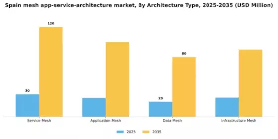 Spain Mesh App Service Architecture Market Segment Image 0