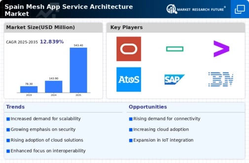 Spain Mesh App Service Architecture Market Infographic