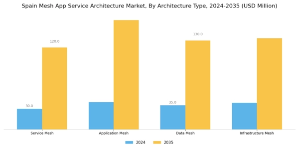 Spain Mesh App Service Architecture Market Segment Image 0