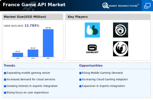 France Game Api Market Infographic