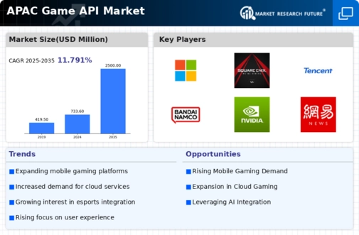 APAC Game Api Market Infographic