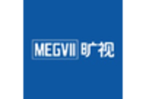 China Cognitive Security Market key player