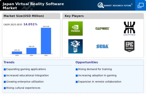 Japan Virtual Reality Software Market Infographic