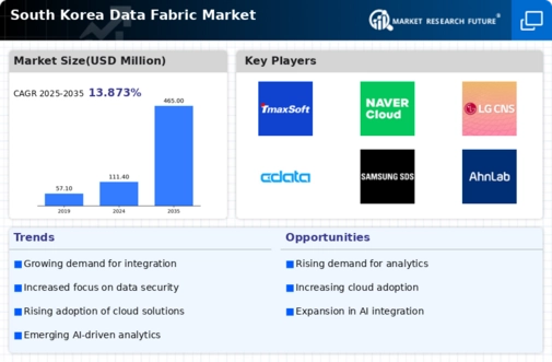 South Korea Data Fabric Market Infographic