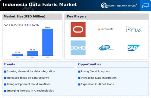 Indonesia Data Fabric Market Infographic