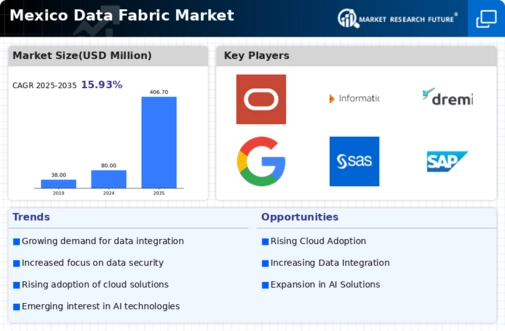 Mexico Data Fabric Market Infographic