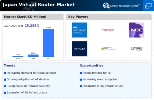 Japan Virtual Router Market Infographic